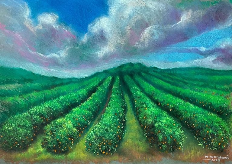 A3-horizontal-algarve-orange-orchard