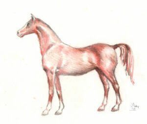 red-horse-crayon-1987